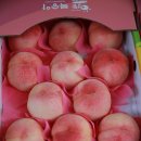 솔밭농원 이미지