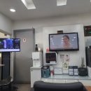 초지점 기아오토큐 이미지