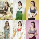 중앙란제리 이미지