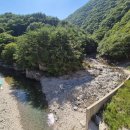 7월27일(일)제46차 정기산행 포항 하옥계곡 트레킹 이미지