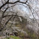 금산28-5교 | 모악산: 대원사-수왕사-무제봉-모악산-남봉-북봉-매봉-금산사