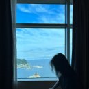 달플로르 이미지