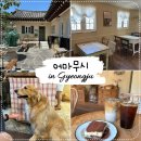 보문회관 | 황리단길 신상카페 어마무시 황리단길점 | 강아지가있는 라떼맛집 티라미수 카페 | 내돈내산 솔직후기