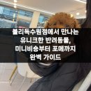 블리독수원점 고양이강아지분양 미니비숑프리제말티푸포메입양 | 블리독수원점에서 만나는 유니크한 반려동물, 미니비숑부터 포메까지 완벽 가이드