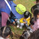 홀츠하임어린이집 이미지