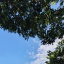 완주떡메마을 | 우리가족 농촌 힐링 이야기 [대산농촌재단 가족사랑 농촌체험-완주 경천애인마을]