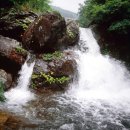 수원-0265 이미지