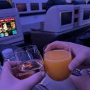 딜라이트 비즈니스 호텔 | 3. 터키항공 비즈니스 탑승 후기 TK0091 (인천->터키 이스탄불)/ 기내식맛집