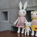 로저언니