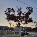 점필재로 | [경남 밀양] 밀양내이동맛집 &#39;한우백년 식육식당&#39;