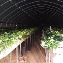 부봉농장 이미지