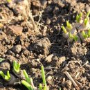 서희농장 이미지