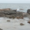 오도리펜션 Daum카페