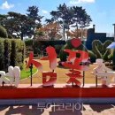 섬꽃