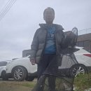 마정 Daum카페