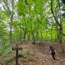 가야유원지 등산로 이미지