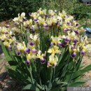 한종농장 이미지