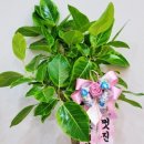 정석그린프라자 이미지