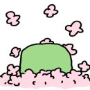 드라시앙