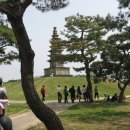 중앙탑공원 이미지