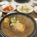 고봉삼계탕 | [잠실 삼계탕 내돈내산] 롯데백화점에서 즐긴 고봉삼계탕 직장인 점심 추천 후기