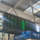 만땅 | [창원⁀➷부산] 1일차 - 진해 군항제 하루종일 벚꽃 축제 벚꽃 수치 만땅 채운 후기