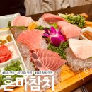 꼬리에 꼬리를 무는 세계사 | [원주 맛집] 단계동 참치 맛집 '혼마참치'