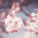 시감상 - (385) 김춘수의 ‘꽃’/ 시인, 작가 김옥림 이미지