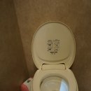 디-포레카라반파크 | 제주도카라반 디 포레카라반 파크다녀왔어요