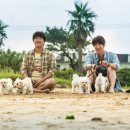 멍뭉이네 이미지