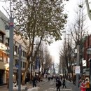 양대규 | 수요일 인사동 취재