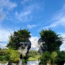 P-6906 | 달랏여행 3일차_ 달랏택시투어 한번에 정리 feat.달팽이요리