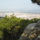 도청대로(동) 이미지