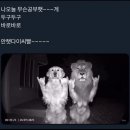 멍멍아 차에타자 | 친(親) 구(舊)