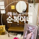 천안 스핑크스 고양이카페 &#39;순복이네&#39;