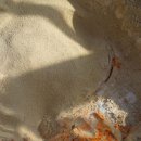 영진고등학교 이미지