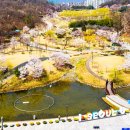 이렇게 신비로웠어? 한국 도심 속 숨겨진 공원 5곳 이미지