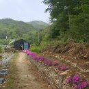 대문농장 이미지