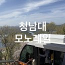 청주 근교 여행 가볼만한 곳 청남대 모노레일 l 가격 소요시간 주차꿀팁 벚꽃길 메타세콰이어길