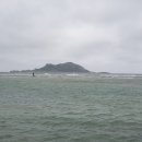 금능124