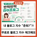 2020-677 | 내 블로그 지수 준최7, 블라이(Blai)로 무료로 확인해본 후기