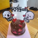 에떼르넬 슈슈 이미지