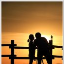 하늘공원 이미지