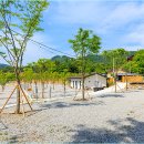 산앤호반 캠핑장 | "그늘은 포기하세요." 하지만 뷰 하나는 완벽했던 합천 산앤호반 캠핑장 (ft. 타프 필수)