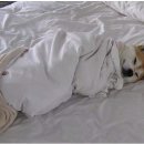 연안부두로 이미지