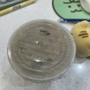 돌고래약국 | #65ᴍʟ 220905-220911 [주간일기_14]