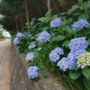 성주 유니온빌리지 이미지