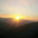 덕산농원 이미지