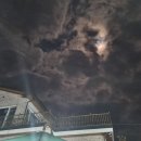 사랑이 머무는 집 2 이미지