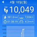 단운천교 | 청주 무심천 걷기좋은길 하루 10000보 걷기 운동 좋은점 시간 칼로리 거리 걷는꿈 해몽/442일~448일 째